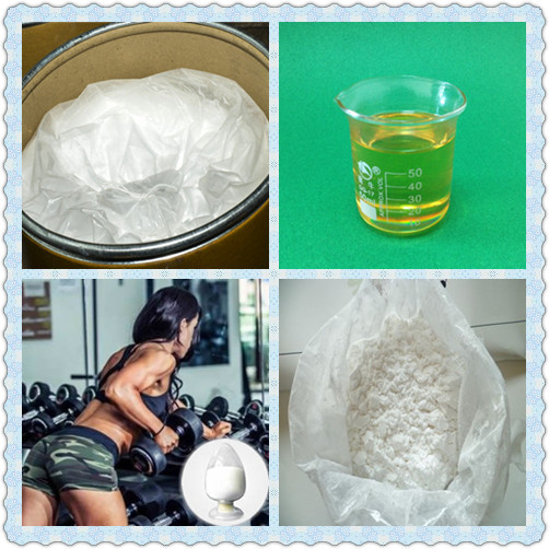 Muscle Building Steroids Trenbolone Enanthate Tren Enanthate Injectable Steroids
