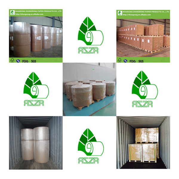 poly coated paper board for fresh milk packaging