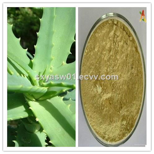 High Quality Natural Aloe Vera Extract 50 95 Barbaloin