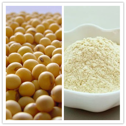 Natural Food Grade Soy Protein Isolate CAS No 9010100