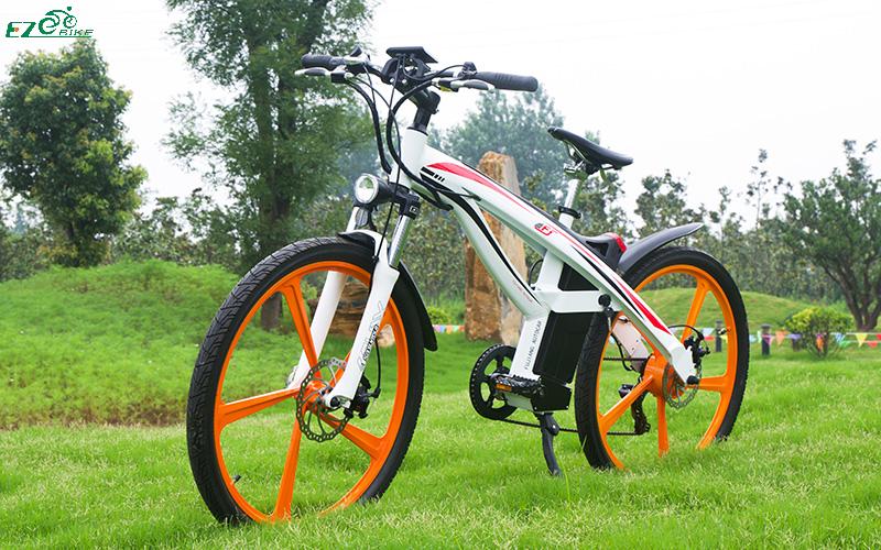 high quality electric bicycle Electric Bike TDE03