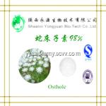 Supply CAS No484128 Osthole 90 95 98 HPLC Common Cnidium Fruit Extract