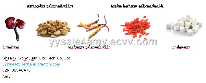 Supply CAS No484128 Osthole 90 95 98 HPLCCommon Cnidium Fruit Extract
