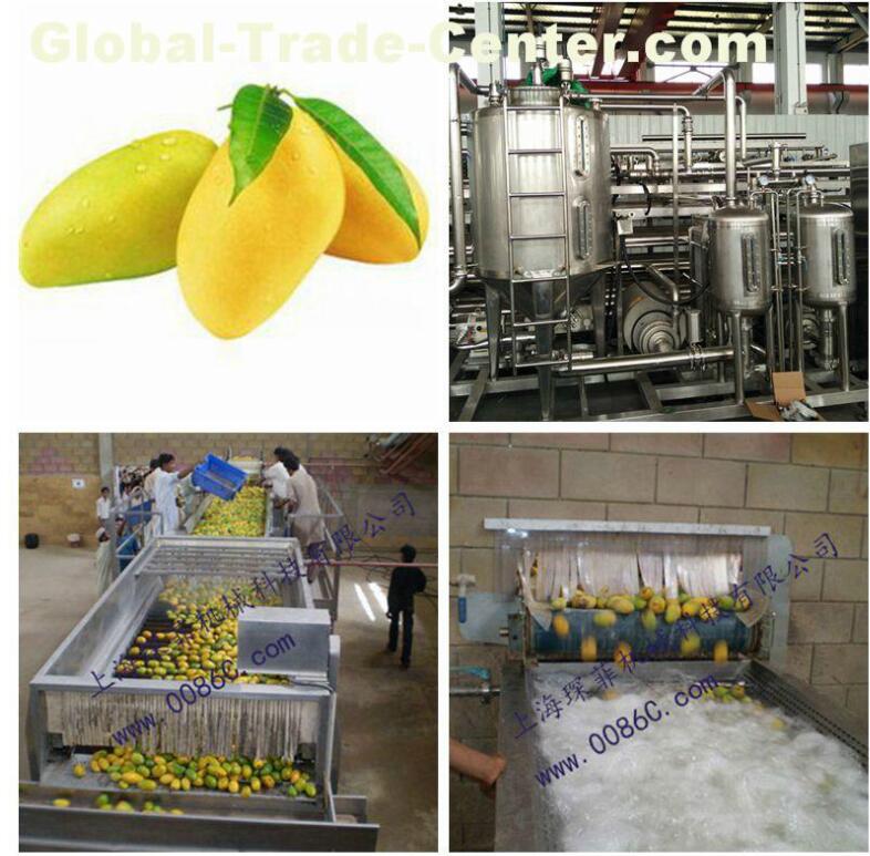 Mango jam and paste processing line