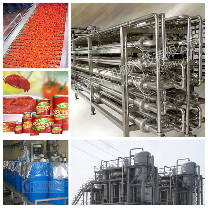 tomato jam and paste processing line