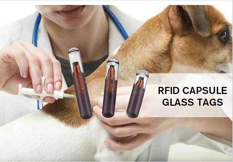 iso 1178411785 FDXAFDXBHDX EM43054102HITAGS256 125KHz 1342KHz rfid glass tag with syringe for animals