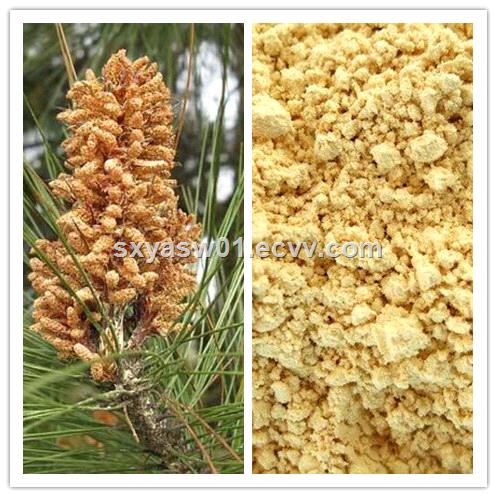 Natural Cellbroken Pine Pollen Powder