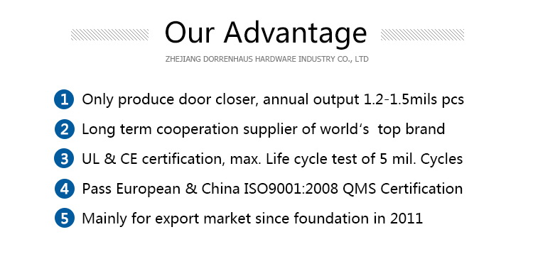 D803 Economic CE Standard Dorma Arm Square Door Closers for 4065kg door