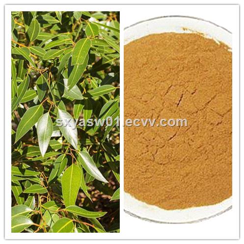 Natural 10 1 20 1 Eucalyptus Leaf Extract