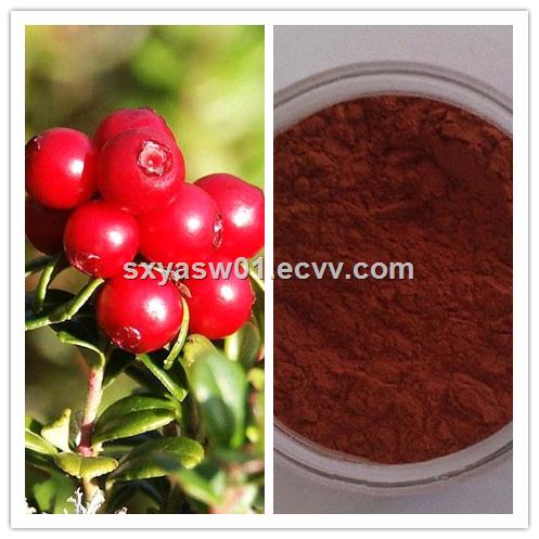 natural high quality anti cancer Cranberry Juice Powder
