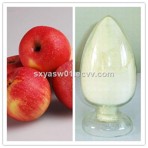natural rich in dietary fiber Apple Juice Powder