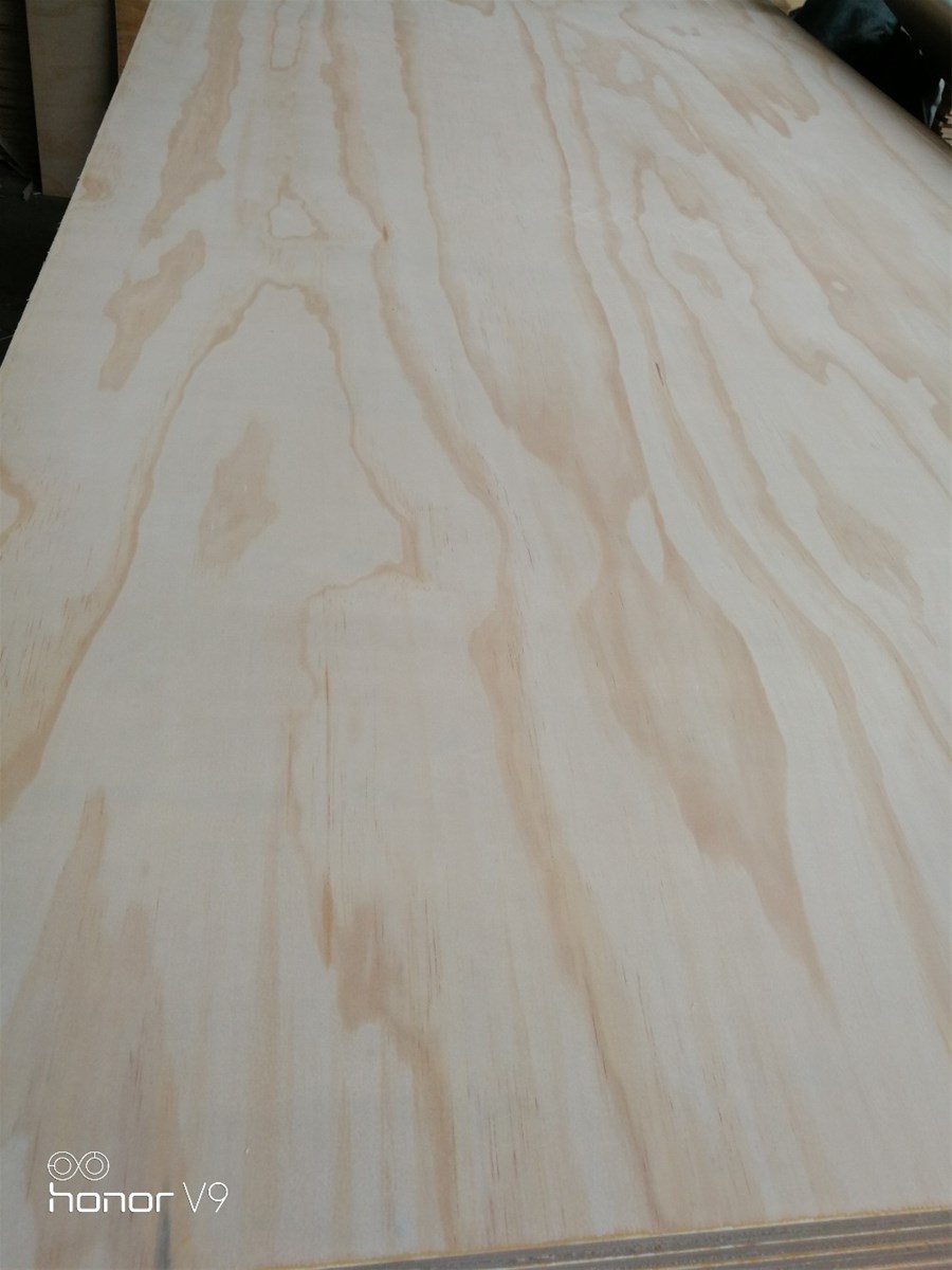 Natural Pine Plywoodfuniture plywood BCCDDD wholesale price