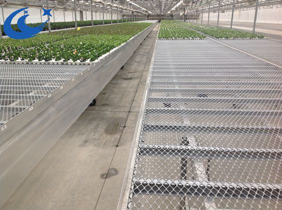 greenhouse expanded metal mesh rolling seedbedbench
