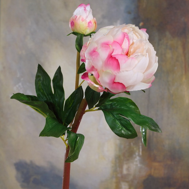Wholesale New Design and High Quality Artificial Peony Artificial Flowers