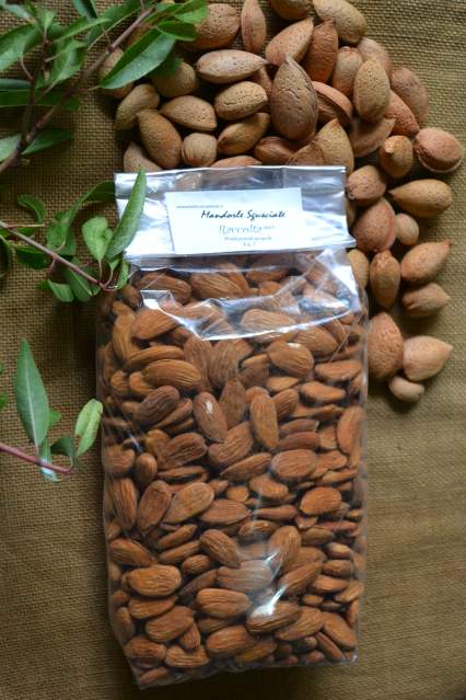 Roasted California Almond NutsProcessed Almond Nuts
