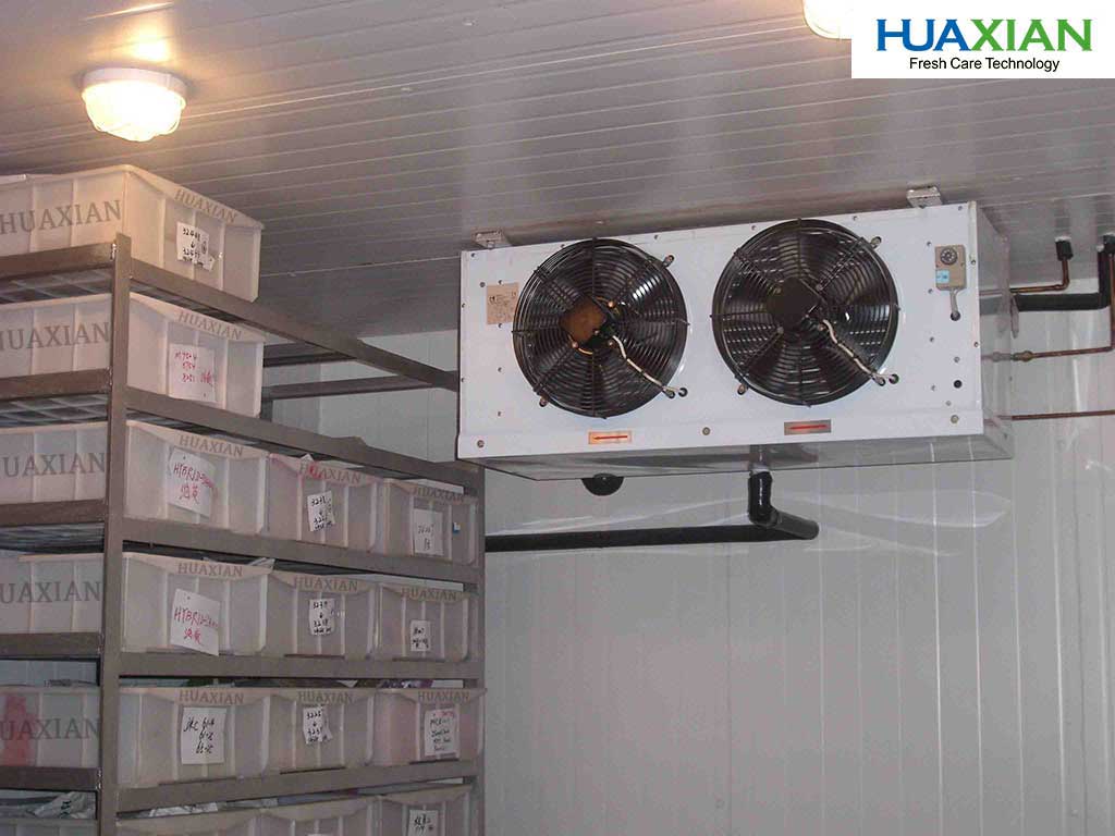 Cold room for restaurant supermarket for storage of fish meat chickne eggs chocolates
