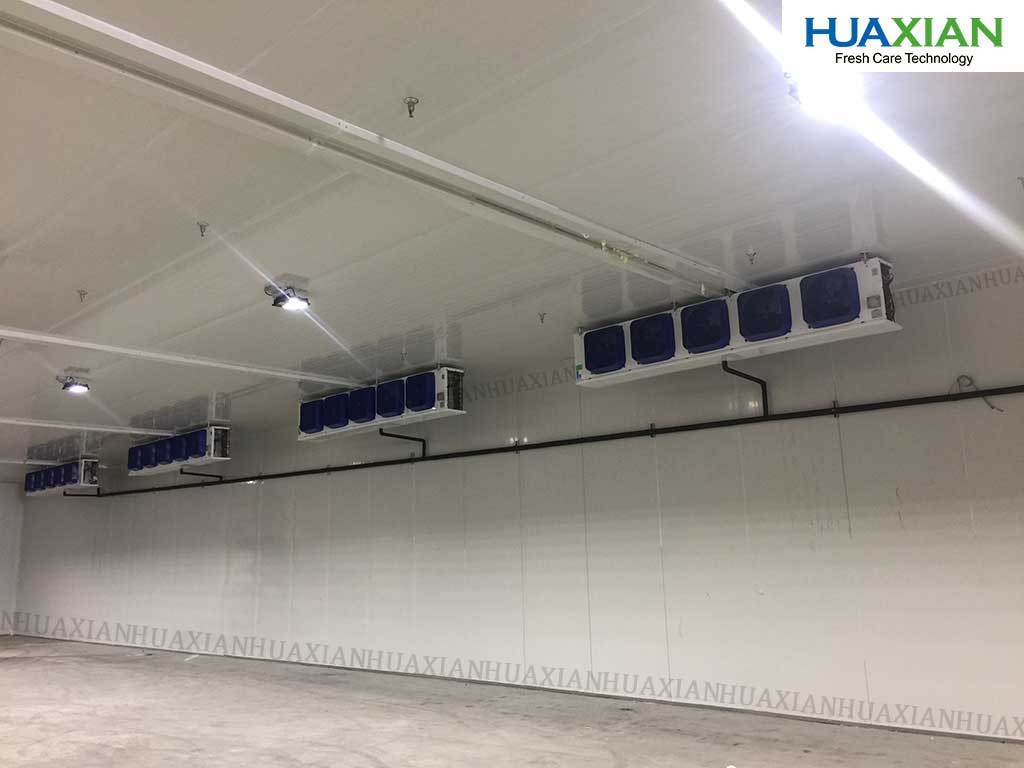 Cold room for restaurant supermarket for storage of fish meat chickne eggs chocolates