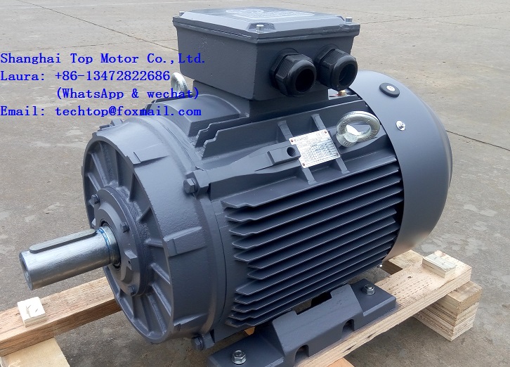 TC series IE1IE2IE3IE4 casting iron housing three phase electric motor techtop motor