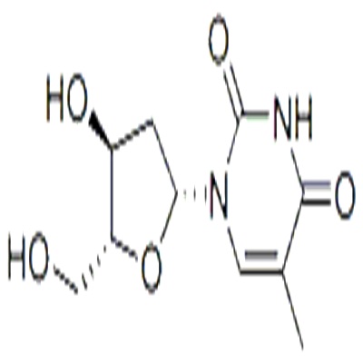 2Deoxythymidine 50895 2Deoxynucleosides