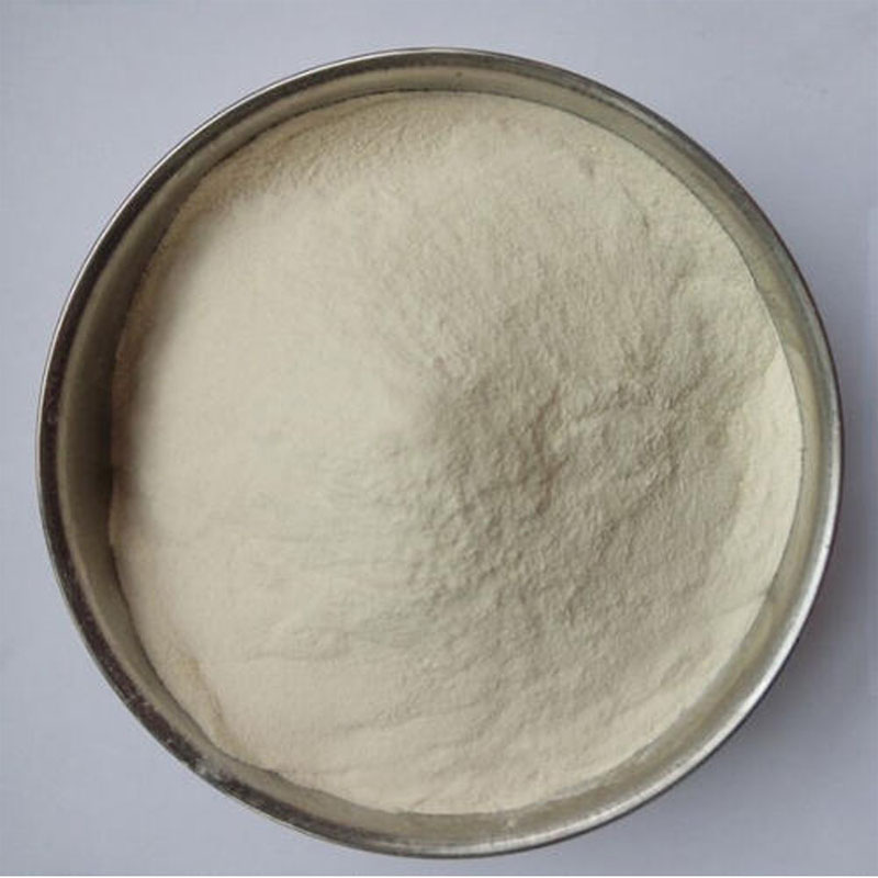 Wholesale High quality NONGMO Isolated Soy Protein FP 600