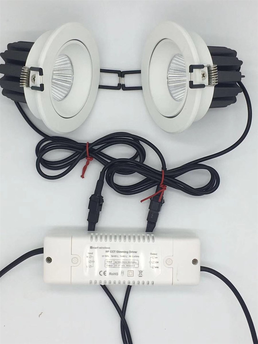 downlight spot light one drives two cct adjustable
