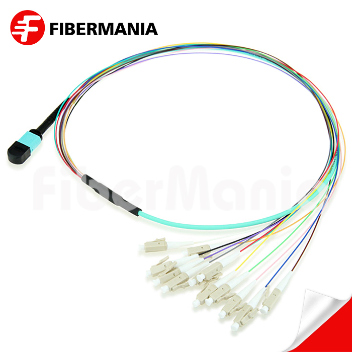 MTP Male to LC Fanout Cable 12 Fibers Om3 50125 10g 1m