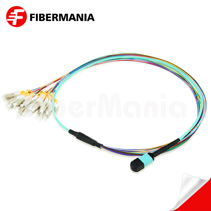 MTP Male to LC Fanout Cable 24 Fibers Om3 50125 10g 1m
