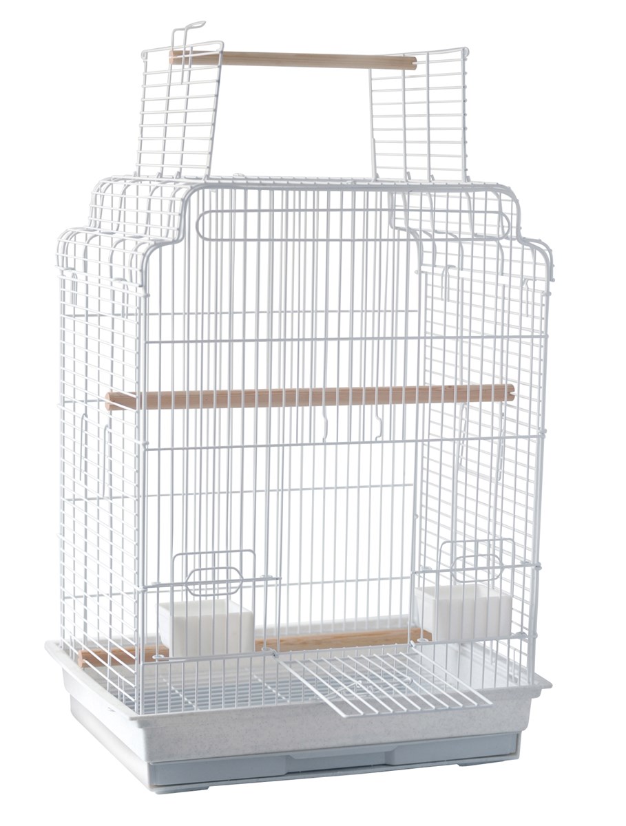 African Grey Amazon Small Cockatoo Collapsible Bird CarrierWrought Iron Flight Cage with Perch Stand