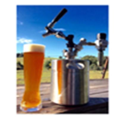 no electric new CO2 home draft beer dispenser