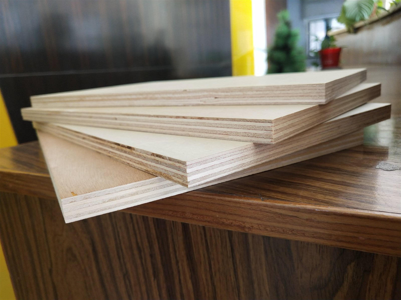 Agathis plywood 1220mmx2440mm 1220mmx2135mm