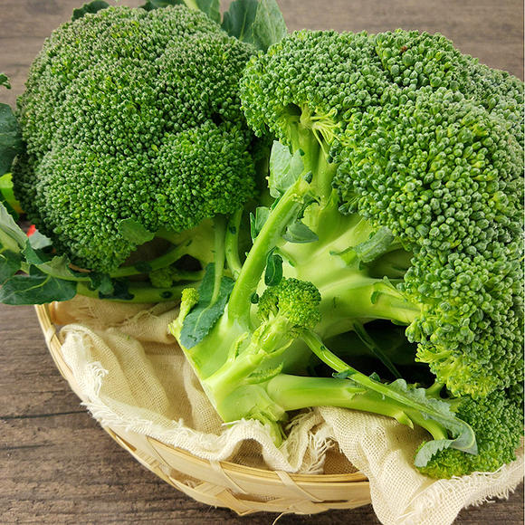 Broccoli Extract Glucoraphanin