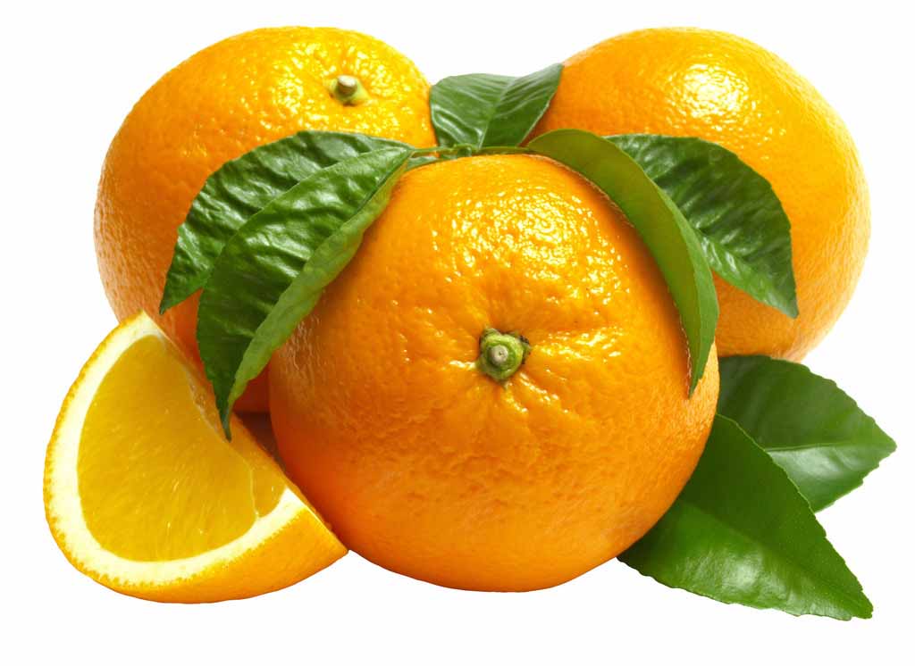 Natural plant extract Citrus Fiber