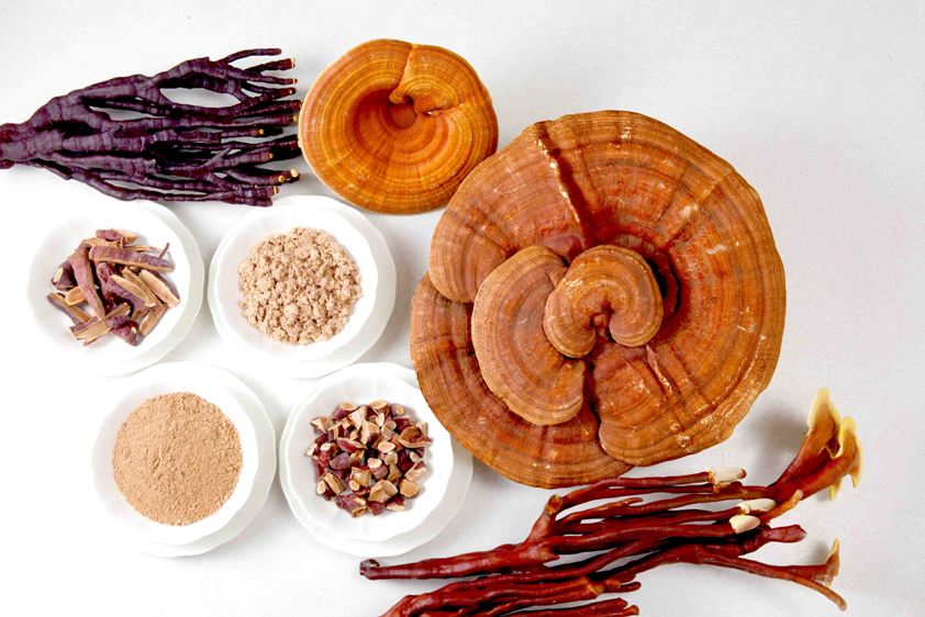 Natural plant extract Reishi Extract