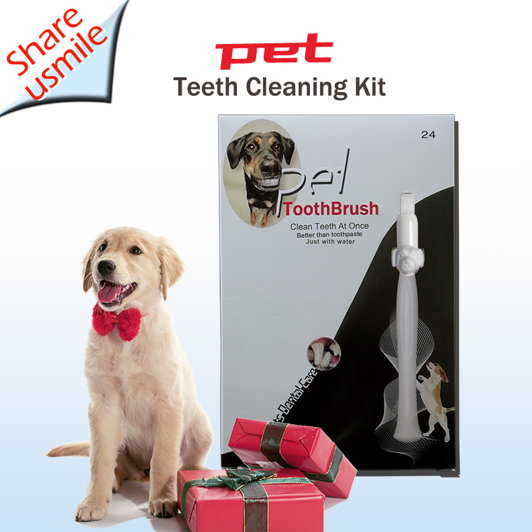 2020 New arrival shareusmile pet toothbrush Professional Teeth Cleaning for Your Dog