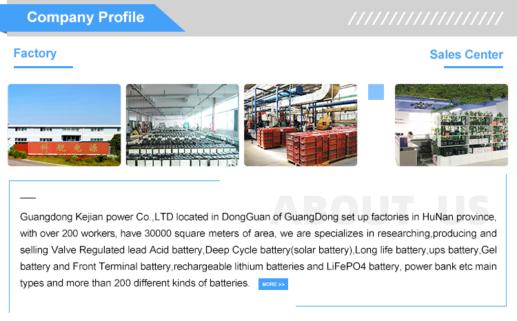 Guangdong Kejian 12V60Ah 6QA60 Dry Leadacid Sealed Rechargeable Car Battery