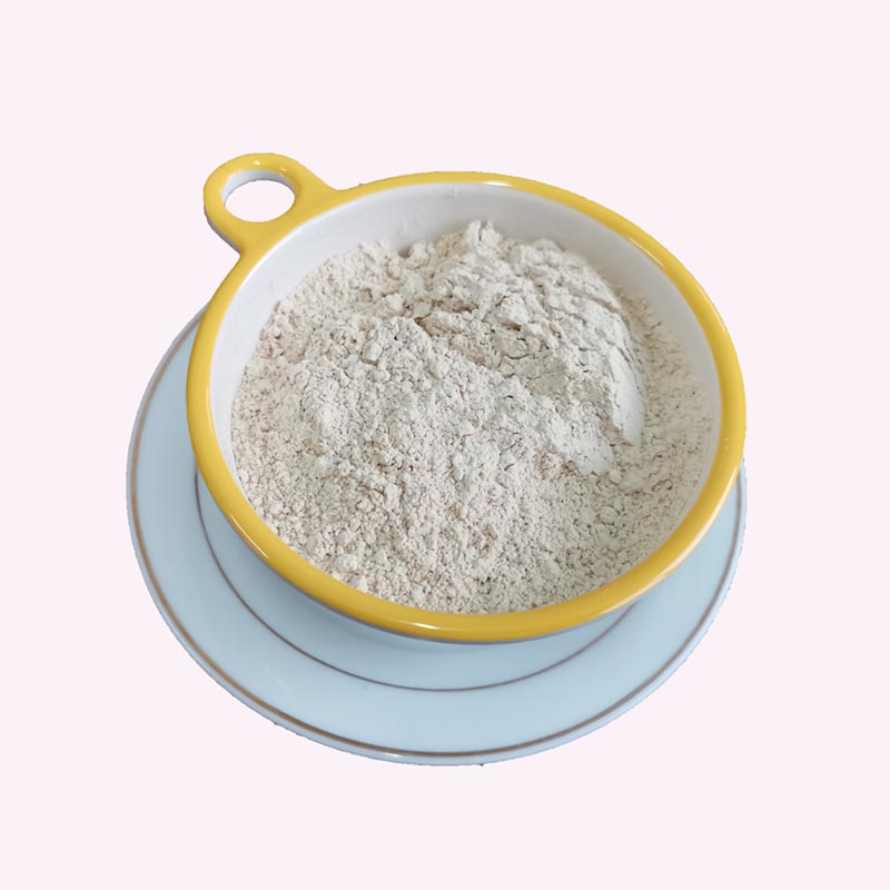 Organic rice protein powder Vegan protein powder