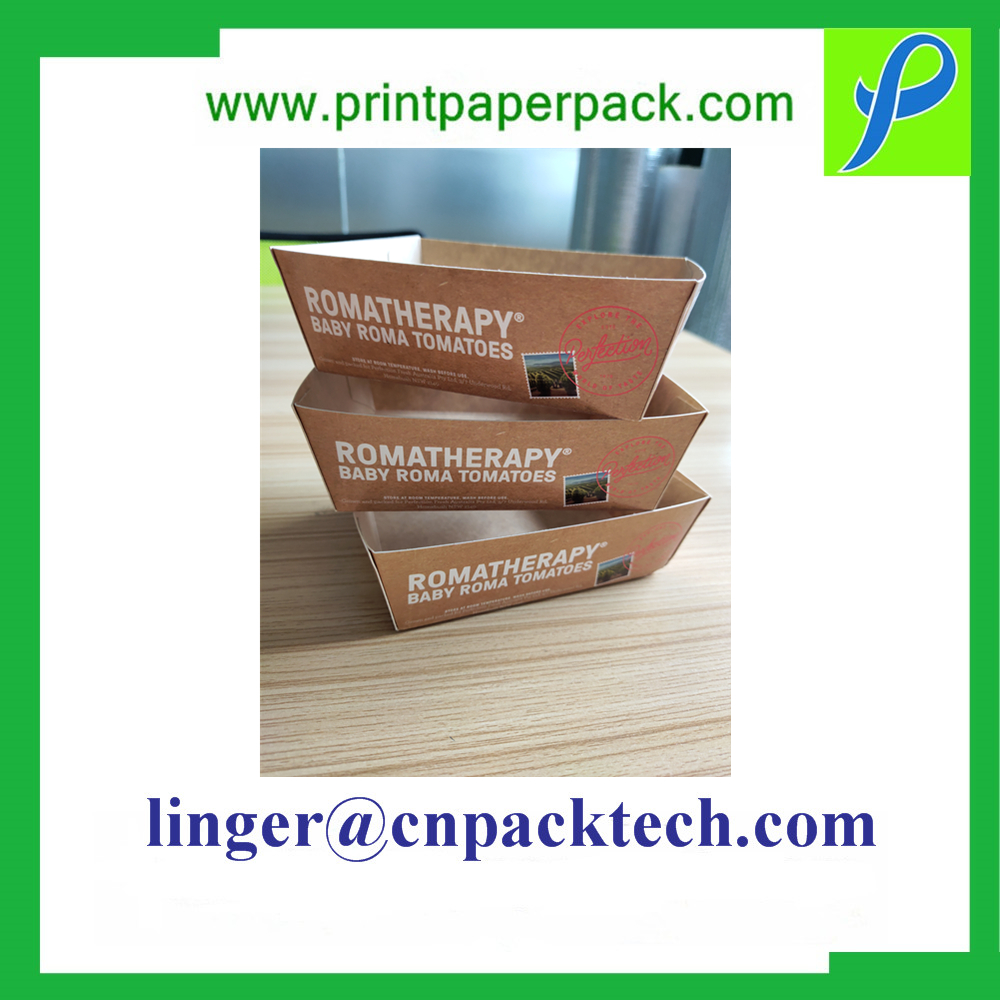 Bespoke Food Grade Cardboard Sandwich Bureger Container Box for Restaurant Stall