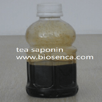 tea saponin powder with 30 saponin