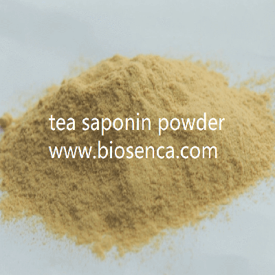 tea saponin powder organic fertilizer with 60 saponin