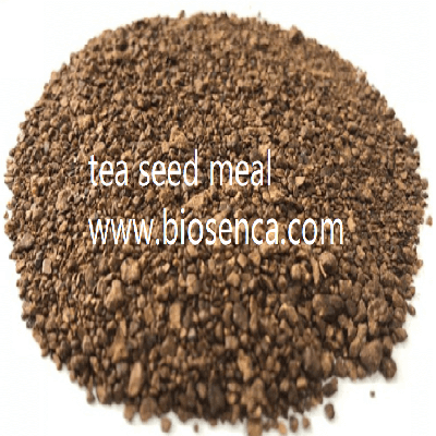tea seed meal with 15 saponin organic fertilizer