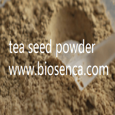 Tea seed powder for shrimp farming with 15 saponin