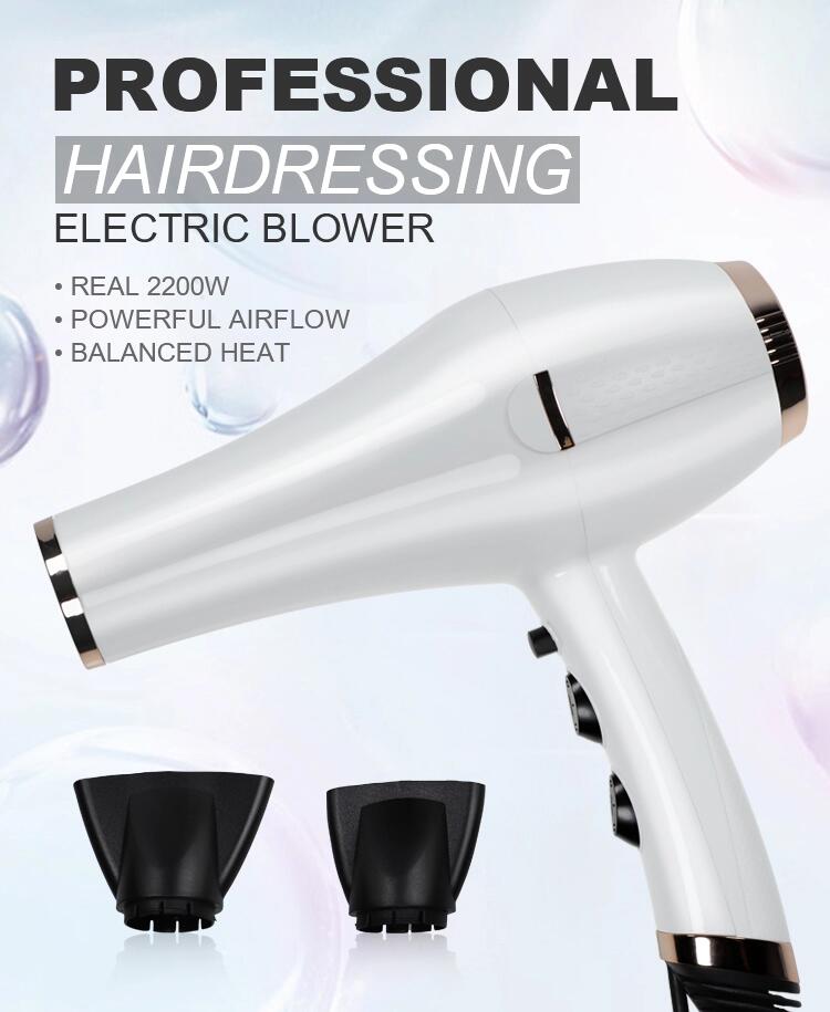 most Powerful 2300W AC Professional Hair Dryer with Pattern