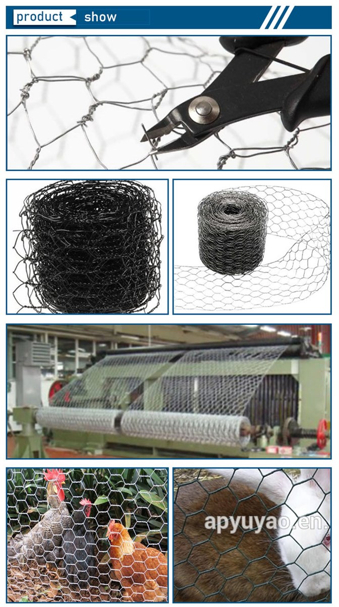 chicken coop twisted soft PVC coated hexagonal wire mesh with manufactory