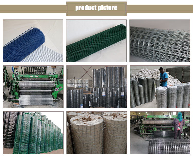 Galvanised concrete cattle Welded iron Wire Mesh