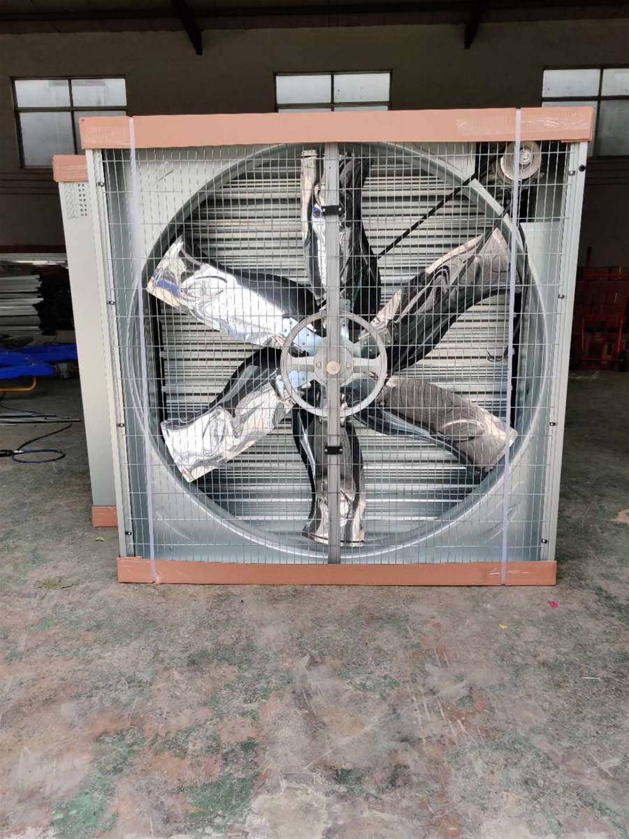 Wall mounted industrial push pull centrifugal exhaust fans for industrial workshops