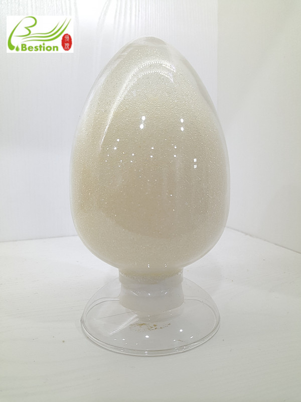 Panax notoginseng saponin extraction resin