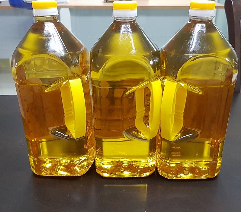 Refined Palm Kernel Oil for Sale