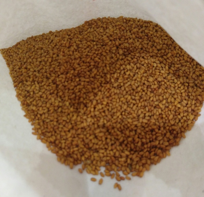 Organic Camelina Seeds for Sale