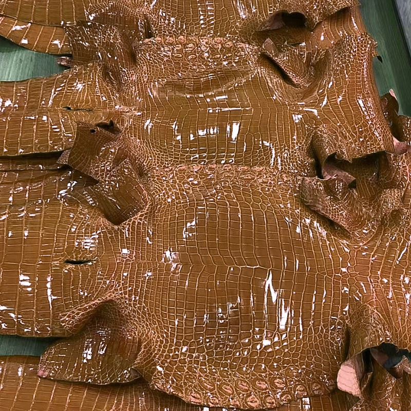 Genuine Crocodile Skin Leather