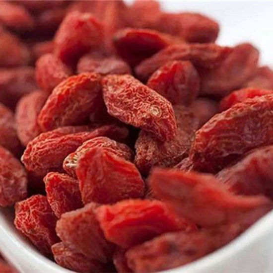 Dried Organic Gojiberry for Sale